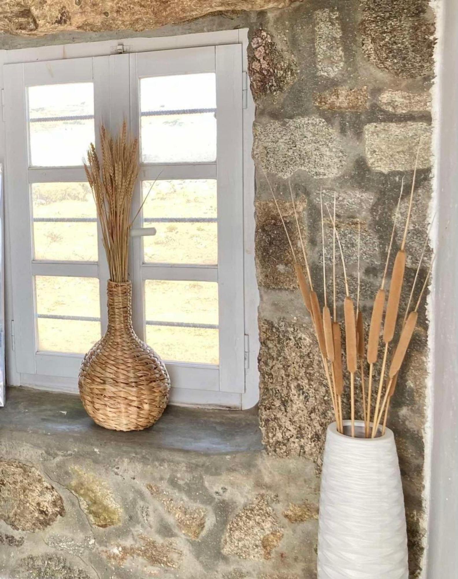 Naira Family Suites Mykonos Mykonos Town Eksteriør bilde